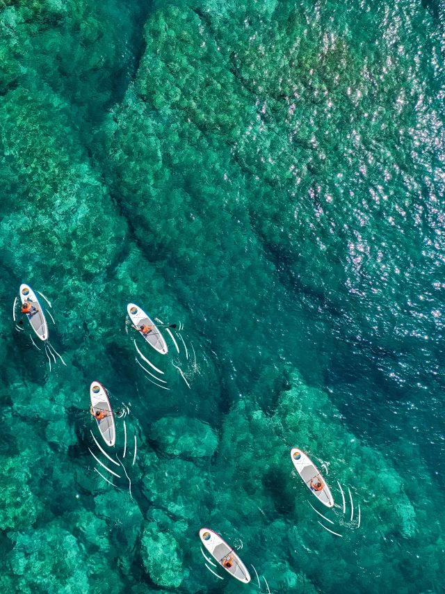Méditerranée