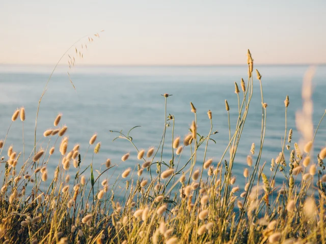Sentier Littoral Argelestourisme L'Oeil D Eos 5280