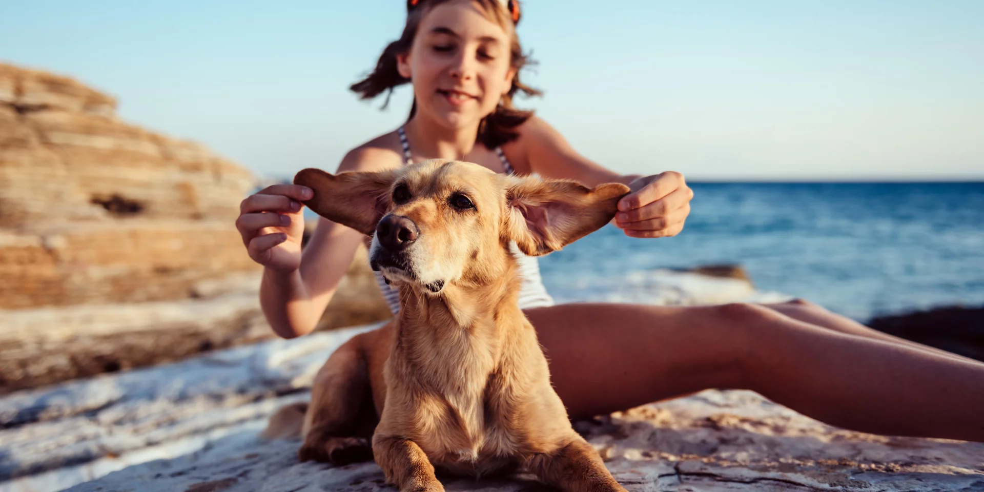 Dogs allowed on beaches Dog-friendly beaches |Office de Tourisme ...