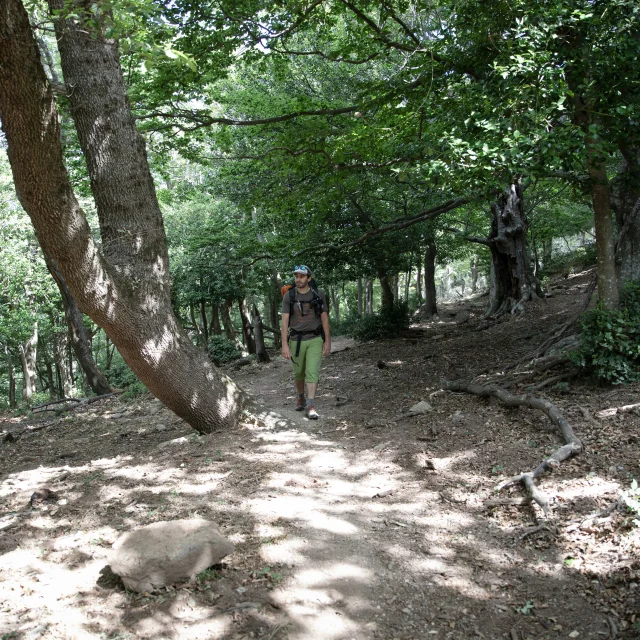 Randonnee Argelestourisme Betty Arnavielhe Trip In Wild .fr 5940