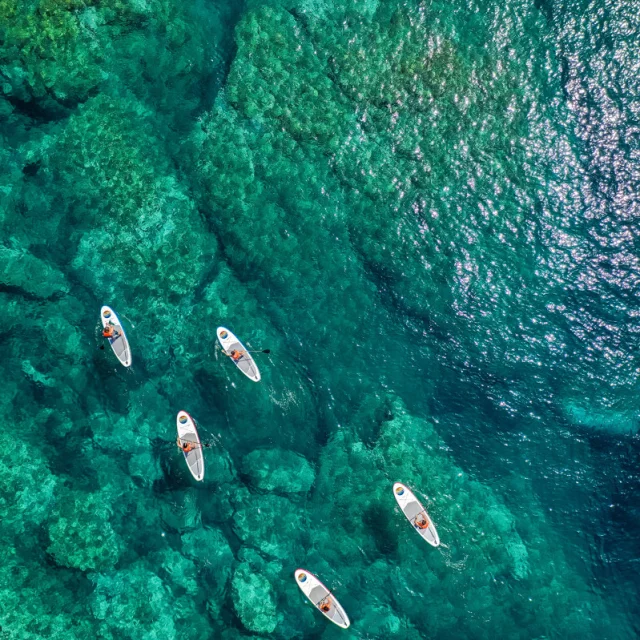 . Fotografía de Stephane Ferrer Yulianti. . Fotografía de Stephane Ferrer Yulianti.